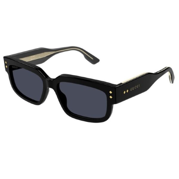 Γυαλιά Ηλίου  GUCCI GG1218S 001